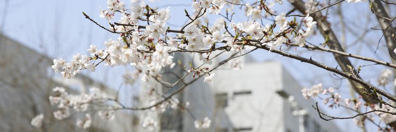 太阳集团tyc539学术型研究...